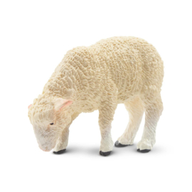 Foraging White Lamb Toymany
