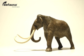 Colombian mammoet  EOfauna