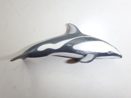 Pacific white sided dolphin Colorata 2e hands