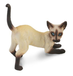 Siamese cat  CollectA 88332