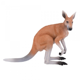 Kangaroo  male  Mojo 381010