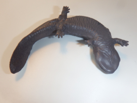 Giant salamander (grey)