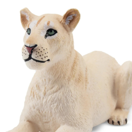 Lioness Toymany