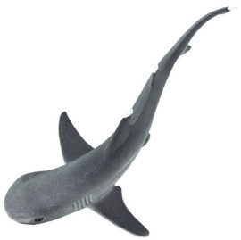 Whitetip Reef Shark   S100100