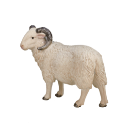 Sheep  ram Mojo 387097