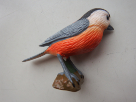 OWSTON'S TIT  (Sittiparus owstoni)