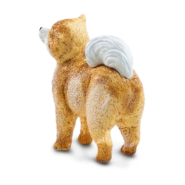Pomeranian   S100711