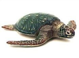 Green turtle (Kaiyodo)