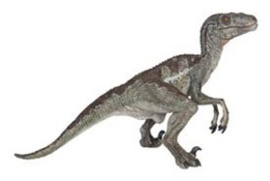 Velicoraptor  Papo 55023