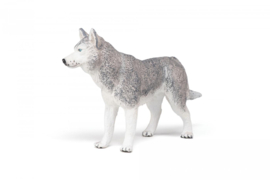 Siberische husky Papo 54035