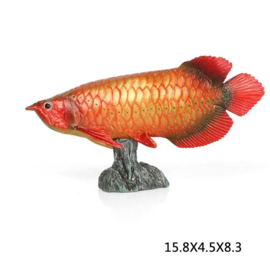 Arowana rood met standaard