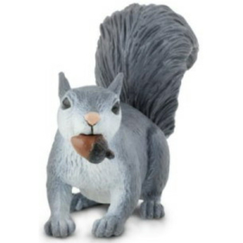 Squirrel grey S296129