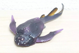 Bothriolepis  Dinotales  Furuta