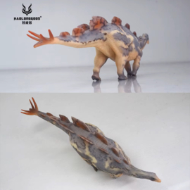 Wuerhosaurus Haolonggood