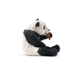 Panda Cub  Toymany
