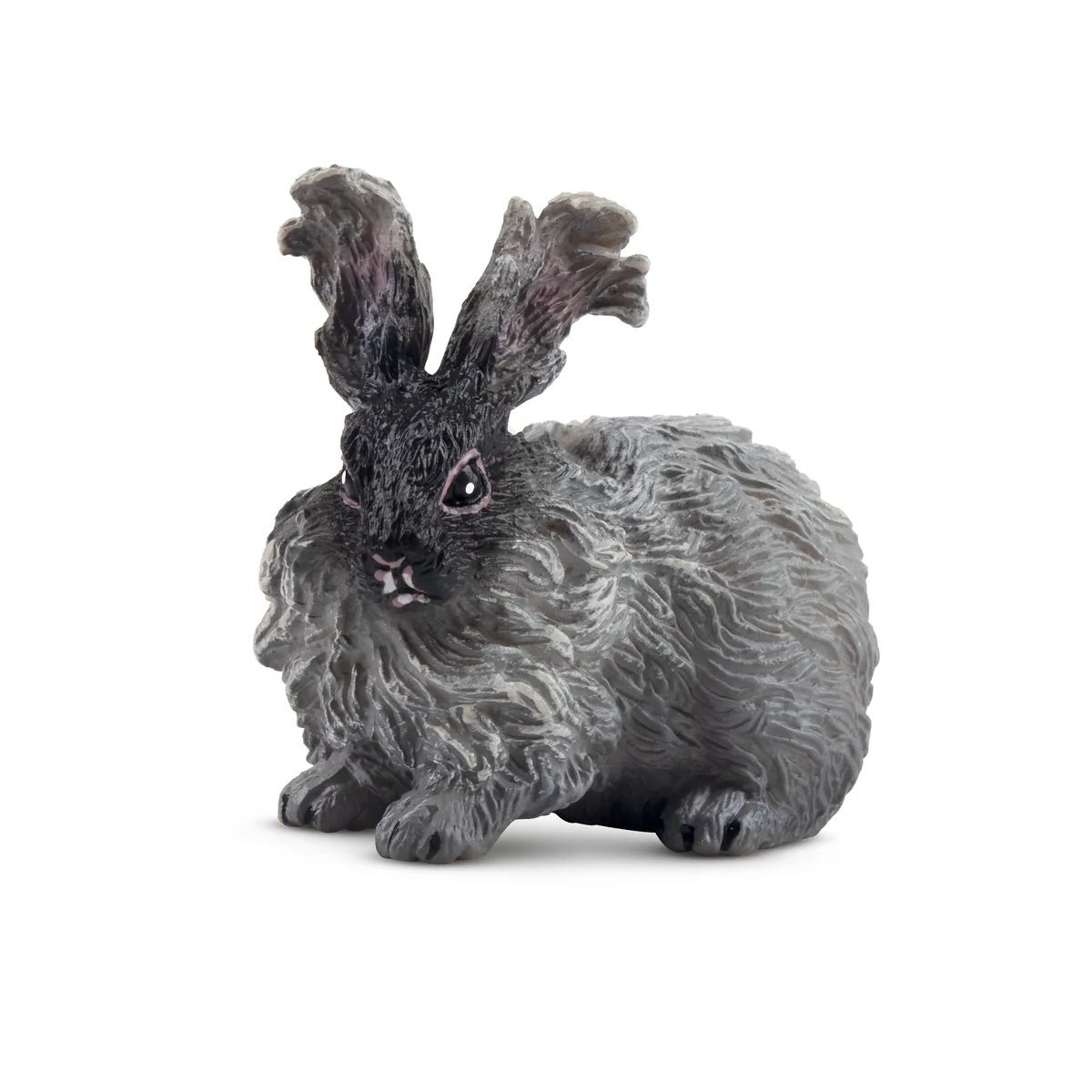 Angora konijn