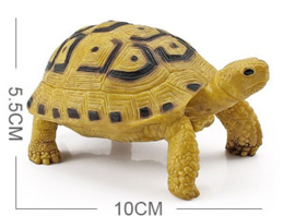 Moorish turtle