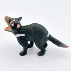 Tasmanian devil Furuta 018
