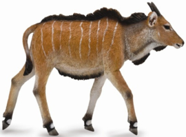 Giant Eland Antelope calf   CollectA 88768