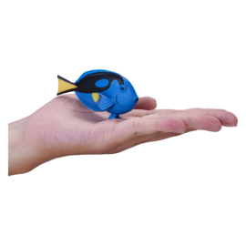 Blue tang    Picasso doktersvis  Mojo 387269