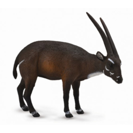 Saola (Vu-Quang-Antilope)    CollectA 88640