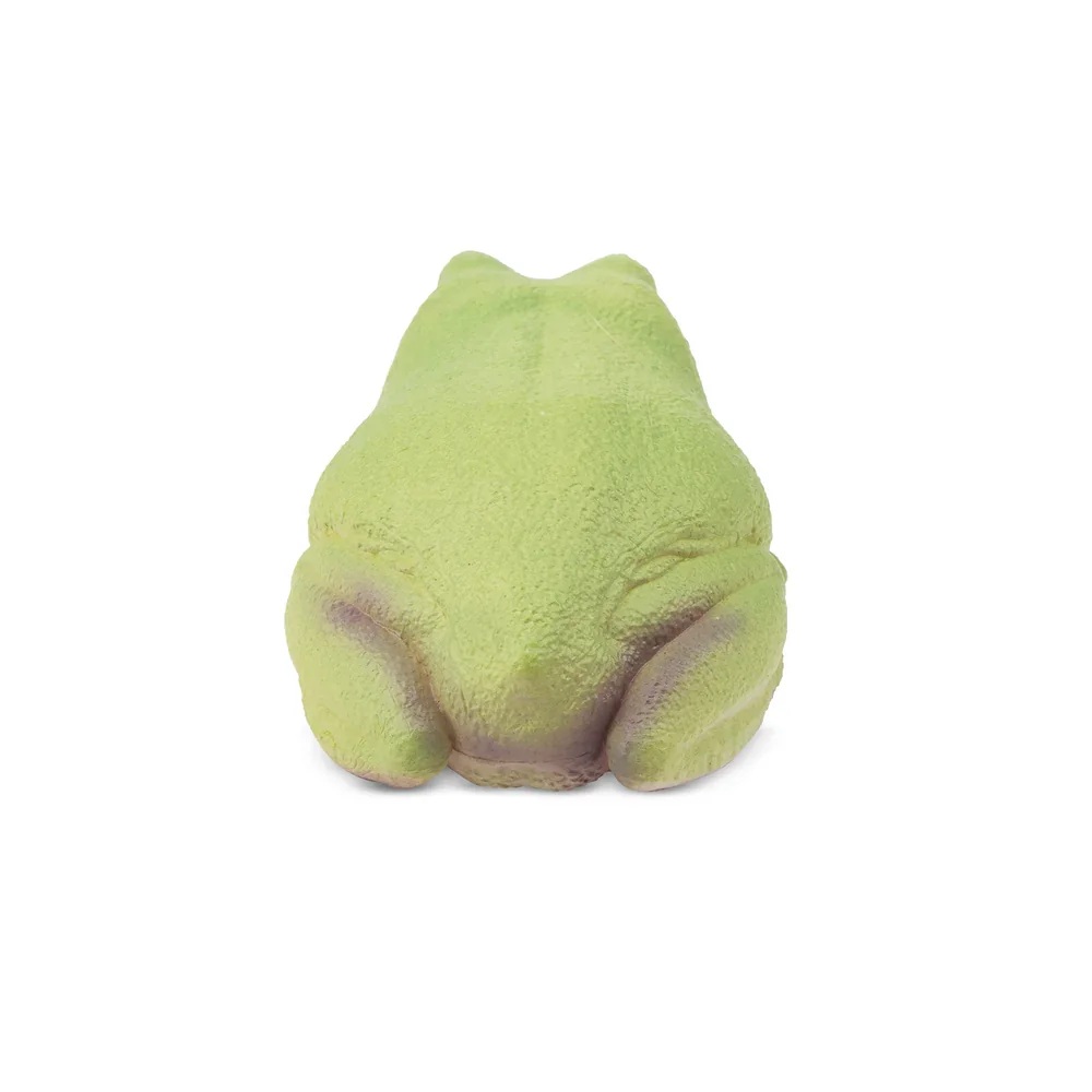Australian green tree frog  Toymany