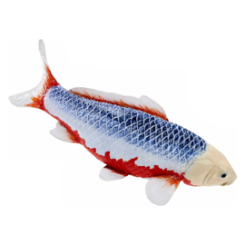 Koi karper Asagi (blue-red)  Mojö 381100