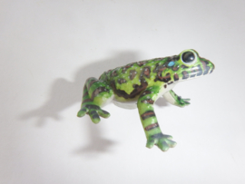 Ishikawa's Frog  Fuji  version 2