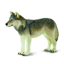 Wolf   S100509