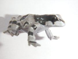 Amazon Milk Frog   Phrynohyas resinifictrix  Yujin