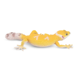Leopard Gecko Toymany