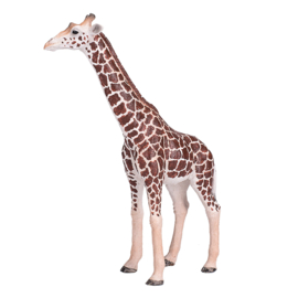 Giraffe mannetje Mojo 381008