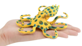 Blauwring octopus