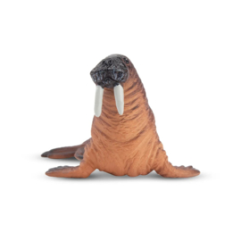 Walrus  mini Toymany
