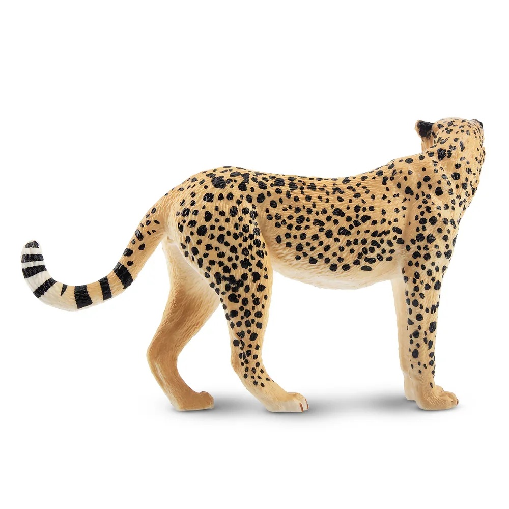 Cheetah  Toymany
