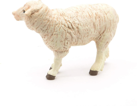 Merino sheep 51041