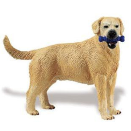 Labrador with bone  S251629