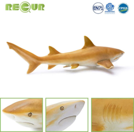 Lemon shark Recur 16093