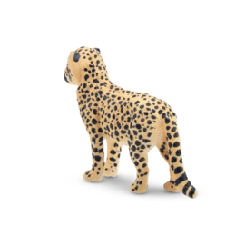 Cheetah cub Toymany