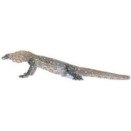 Perentie  (Monitor lizard) SR 00018