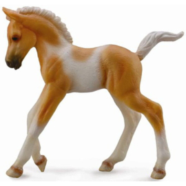 Pinto foal CollectA 88668