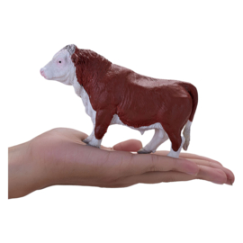 Hereford bull   Mojo 381073