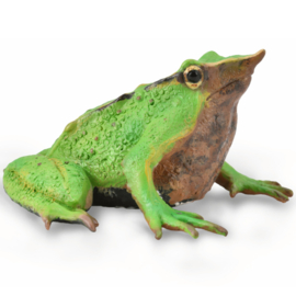 Darwin's frog CollectA 88938