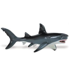 Great White Shark   S275029