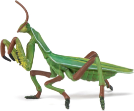 Praying Mantis     Papo 50244