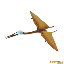 Quetzalcoatlus Safari 304329