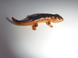 Skink  mini