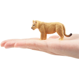 Lion cub standing  Toymany
