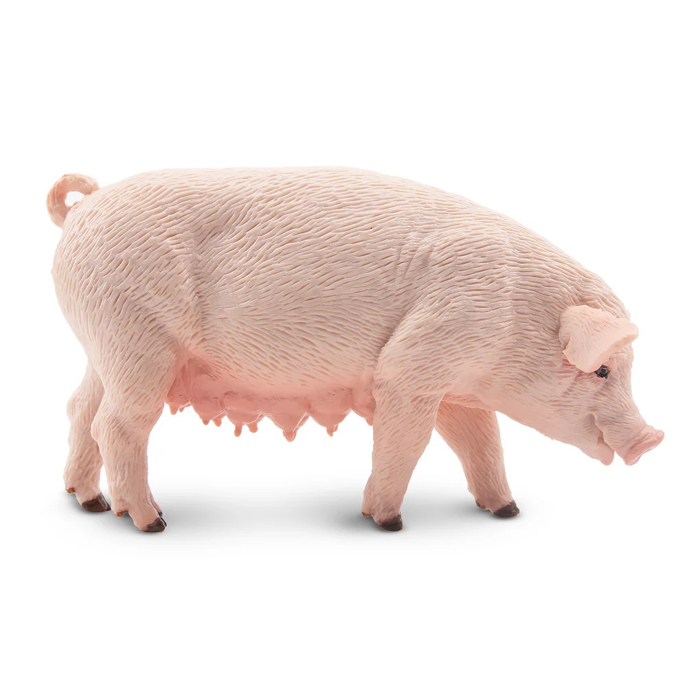 Female Adult Pig  Toymany