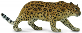 Amur leopard  CollectA 88708